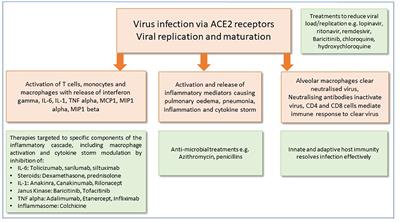 Immunomodulatory Drugs in the Management of SARS-CoV-2
